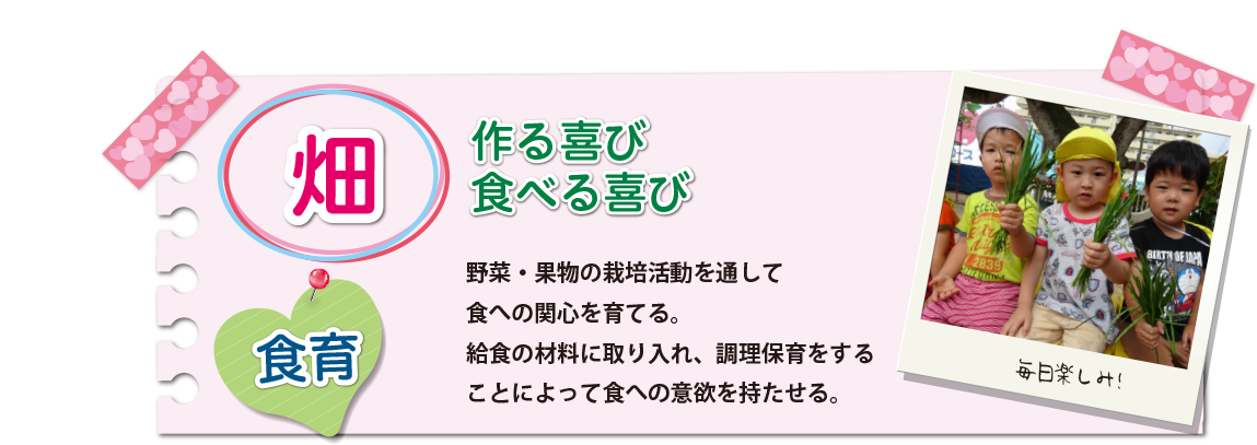 [畑]野菜・果物の栽培活動を通して食への関心を育てる。給食の材料に取り入れ、調理保育をすることによって食への意欲を持たせる。