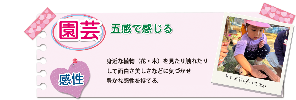[園芸]身近な植物（花・木）を見たり触れたりして面白さ美しさなどに気付かせ豊かな感性を持てる。