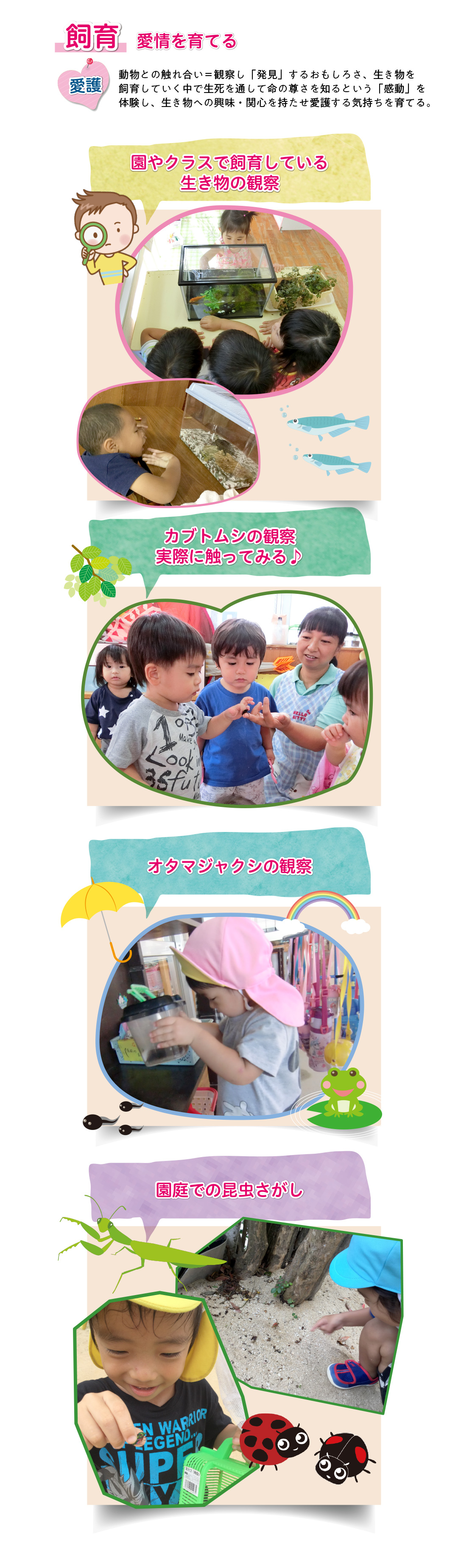 [飼育]動物とのふれあいや飼育の手伝いを通して生き物への興味や関心を持たせ愛護する気持ちを育てる